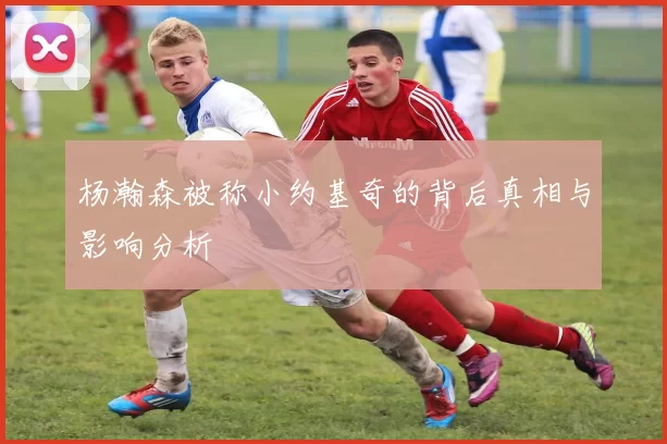杨瀚森被称小约基奇的背后真相与影响分析