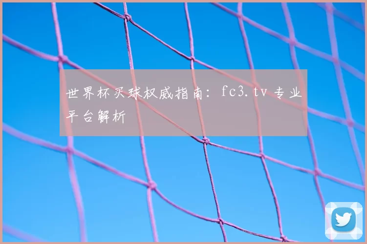 世界杯买球权威指南：fc3.tv 专业平台解析