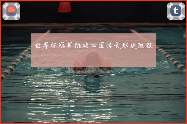 世界杯冠军凯旋回国接受球迷致敬