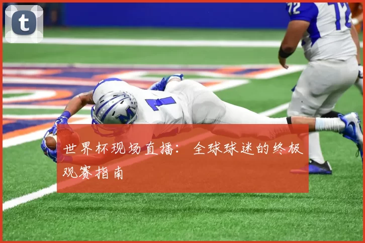 世界杯现场直播：全球球迷的终极观赛指南