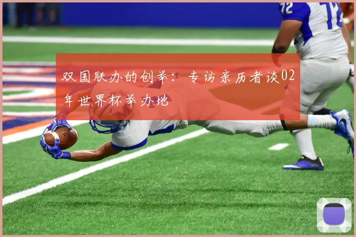 双国联办的创举:专访亲历者谈02年世界杯举办地