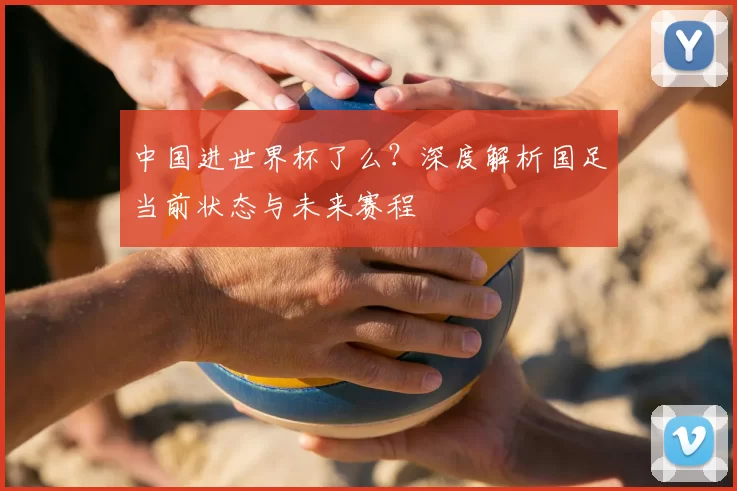 中国进世界杯了么？深度解析国足当前状态与未来赛程