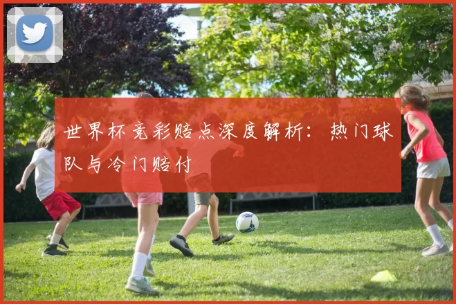 世界杯竞彩赔点深度解析：热门球队与冷门赔付