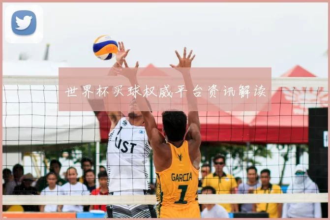 世界杯买球权威平台资讯解读