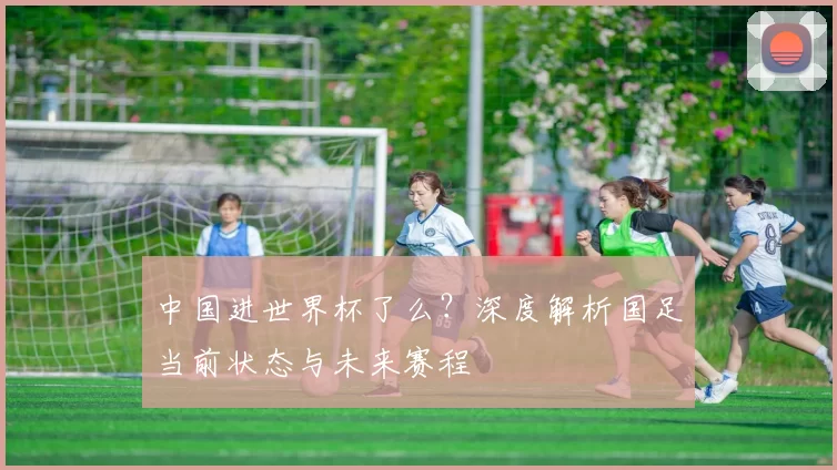 中国进世界杯了么？深度解析国足当前状态与未来赛程