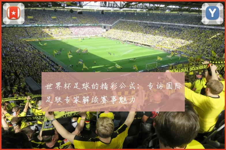 世界杯足球的精彩公式：专访国际足联专家解读赛事魅力