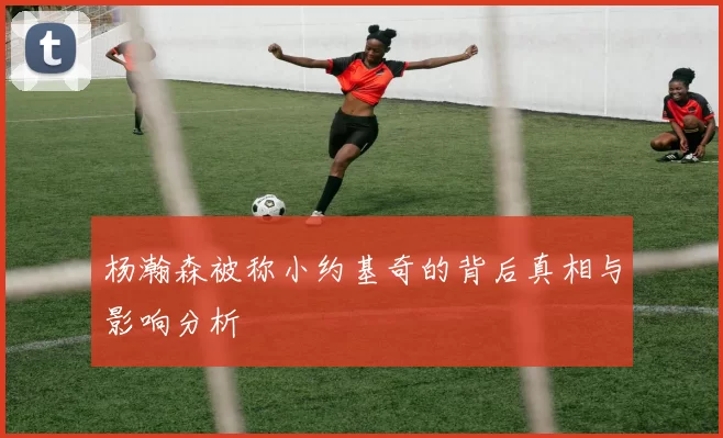 杨瀚森被称小约基奇的背后真相与影响分析